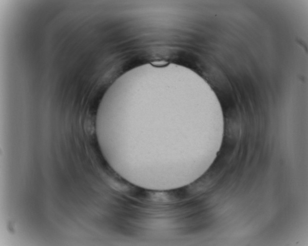 X0000097510091200803142050