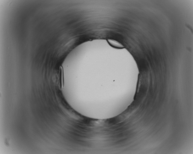 X0000097510092200803142050