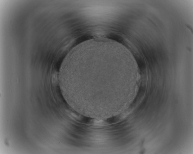 X0000097510093200803142050