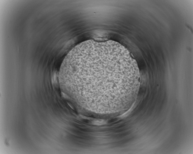 X0000097510094200803142051