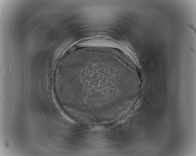 X0000097510097200803142050