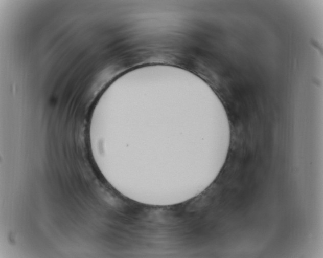 X0000097510098200803142050