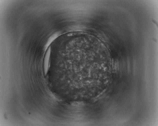 X0000097510099200803142050