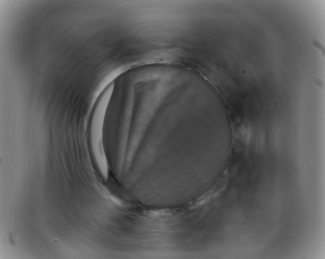 X0000097510100200803142050