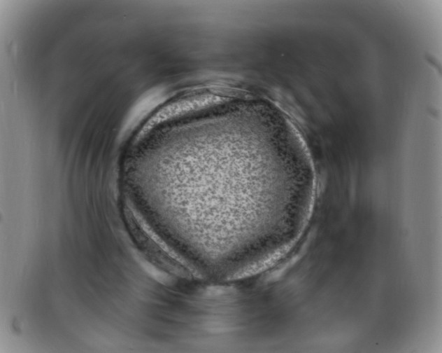 X0000097510101200803142050