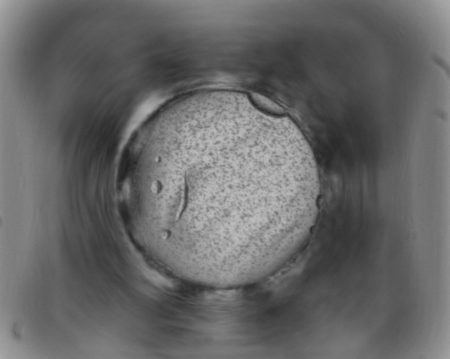 X0000097510102200803142050