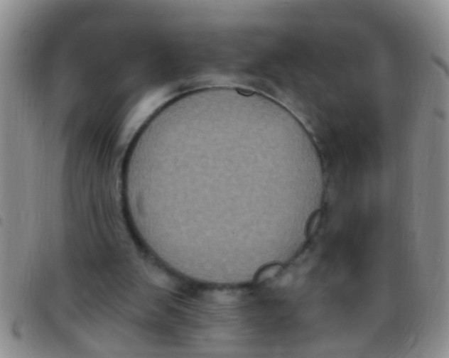 X0000097510103200803142050