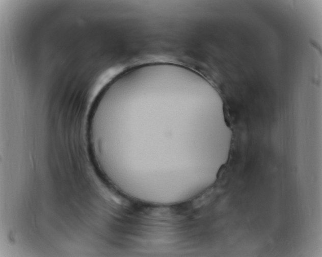 X0000097510104200803142050