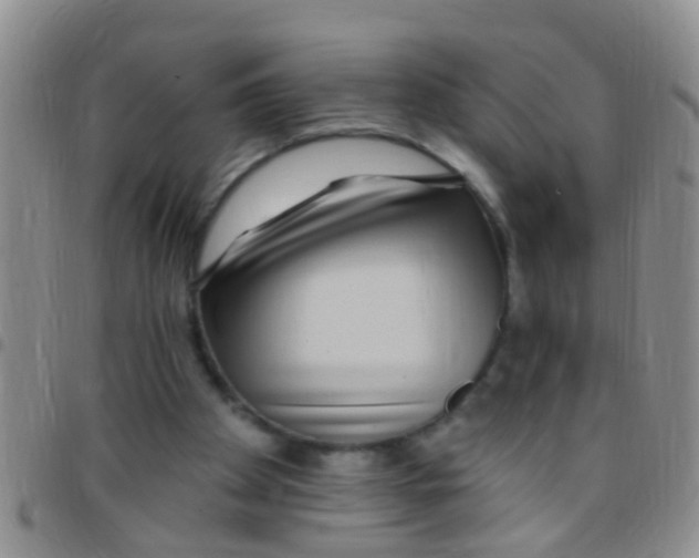 X0000097510105200803142050