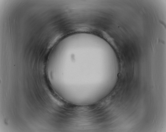 X0000097510106200803142050