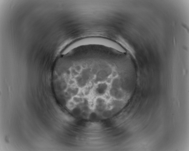 X0000097510107200803142050