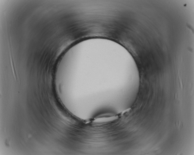 X0000097510108200803142050