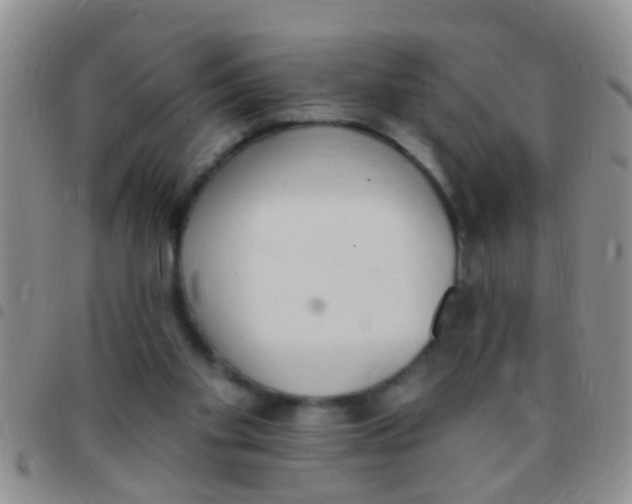 X0000097510109200803142050