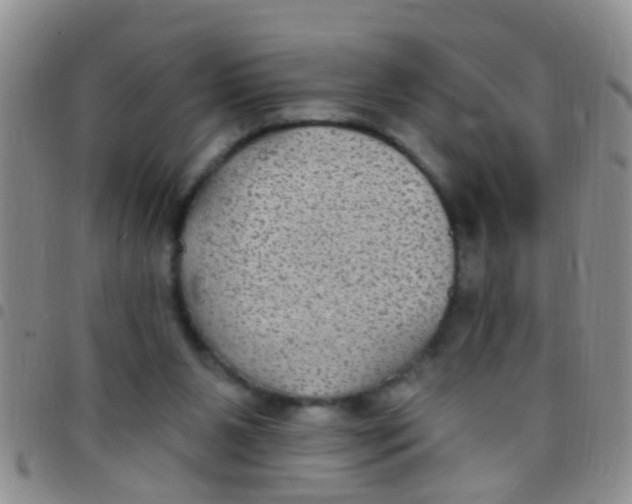 X0000097510111200803142050