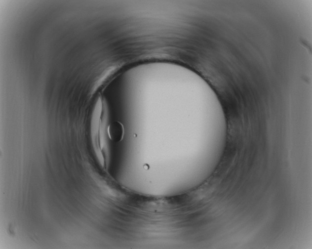 X0000097510112200803142050