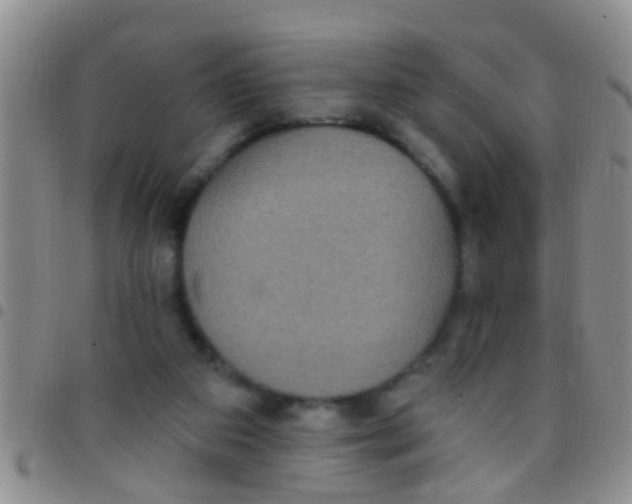X0000097510113200803142050