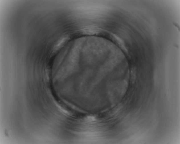 X0000097510114200803142050