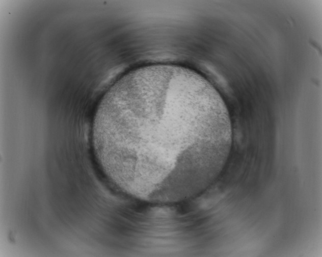 X0000097510115200803142050