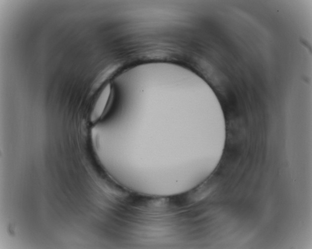 X0000097510116200803142050