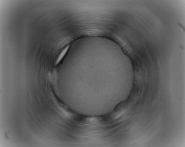 X0000097510117200803142050
