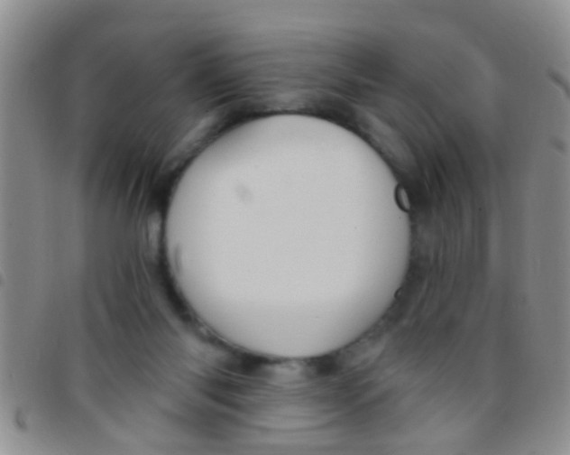 X0000097510118200803142050
