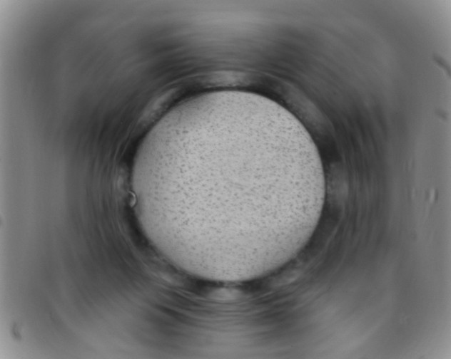 X0000097510119200803142050