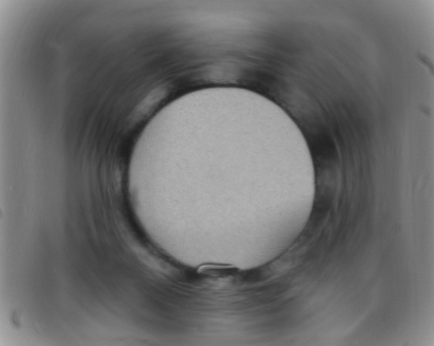 X0000097510120200803142050