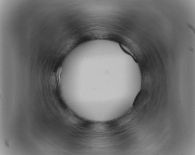 X0000097510121200803142050