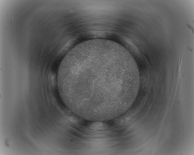 X0000097510123200803142050