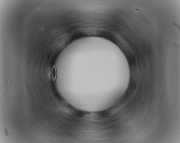 X0000097510125200803142050