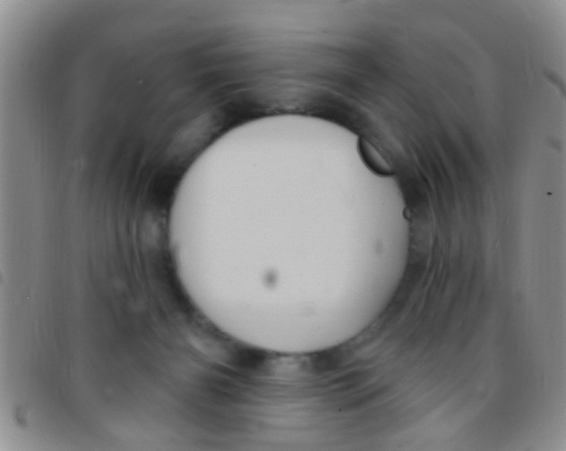 X0000097510126200803142049