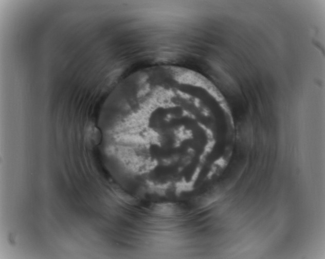 X0000097510127200803142049