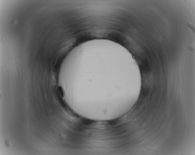 X0000097510128200803142049