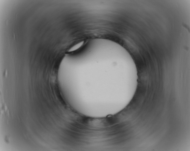 X0000097510129200803142049