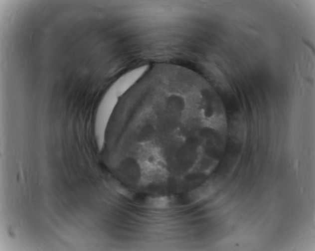 X0000097510131200803142049