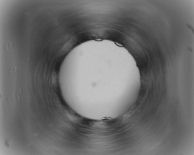 X0000097510132200803142049