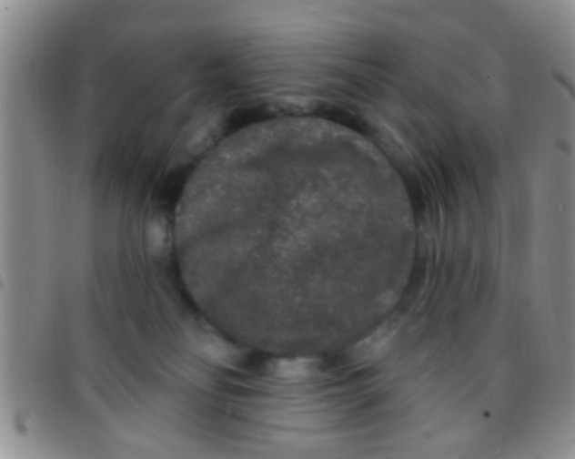 X0000097510134200803142049