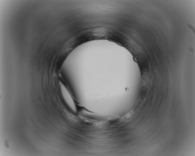 X0000097510136200803142049