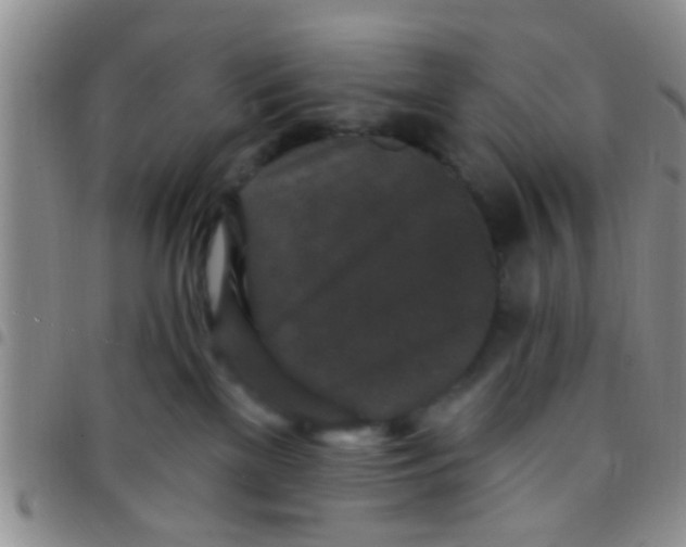 X0000097510137200803142049