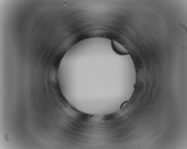 X0000097510138200803142049