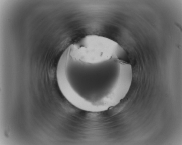X0000097510139200803142049