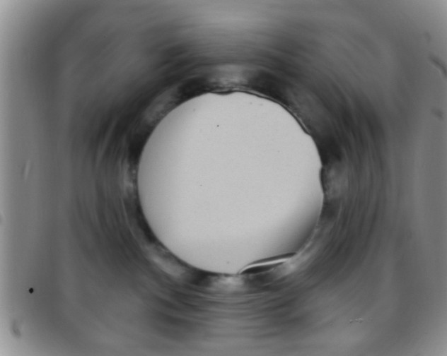 X0000097510140200803142049