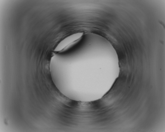 X0000097510141200803142049