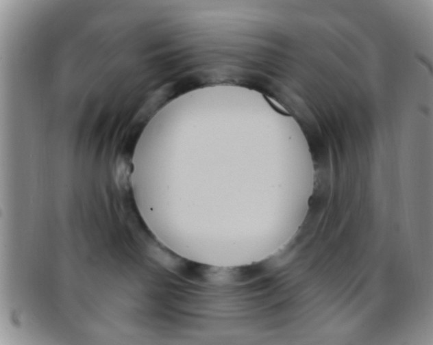 X0000097510142200803142049