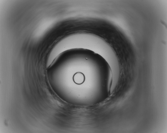 X0000097510146200803142049