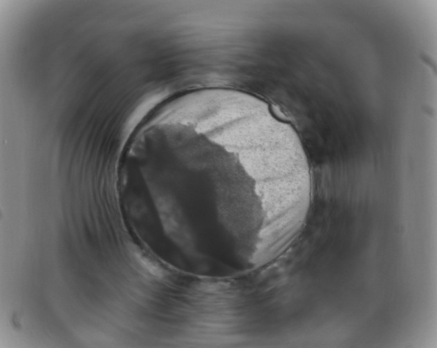 X0000097510147200803142049