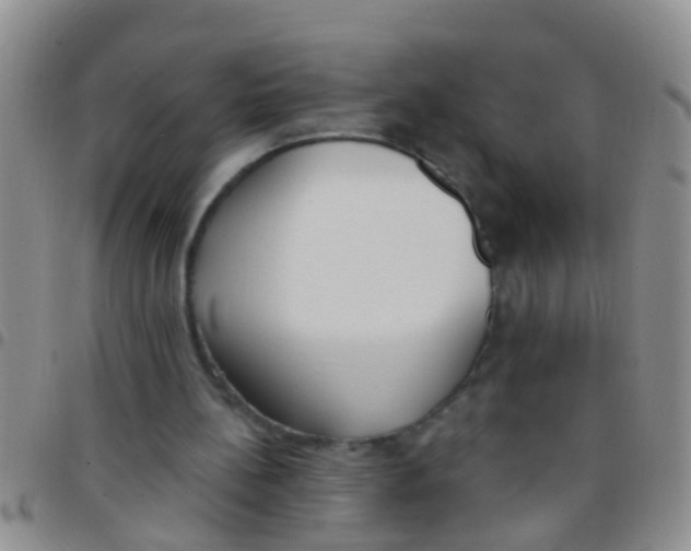 X0000097510148200803142049