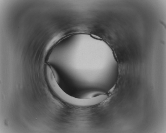 X0000097510150200803142049