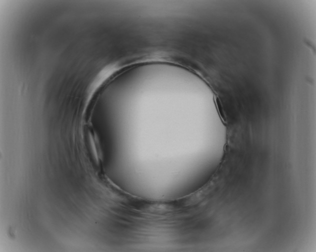 X0000097510152200803142049