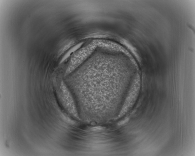 X0000097510153200803142049